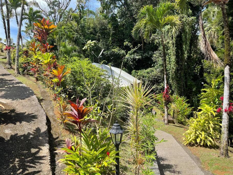 Jardin Secret Petit-Bourg Exterior foto